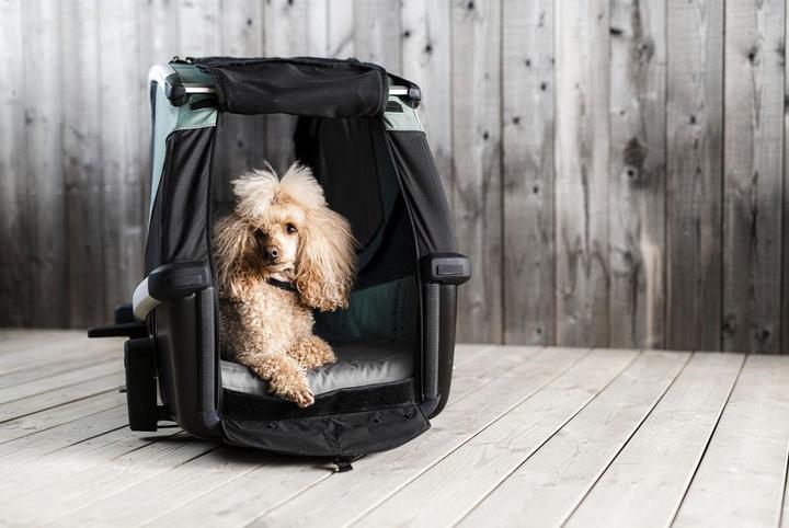 Productafbeelding Thule Bexey M