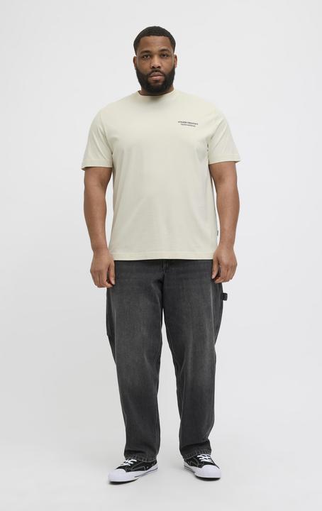 Produktbild Jack & Jones Jorislington Type Tee Ss Crew Neck Pls (XXL)
