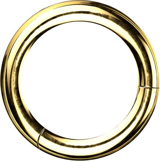 Produktbild Star Piercing Segmentring klappbar vergoldet (Titan G23)