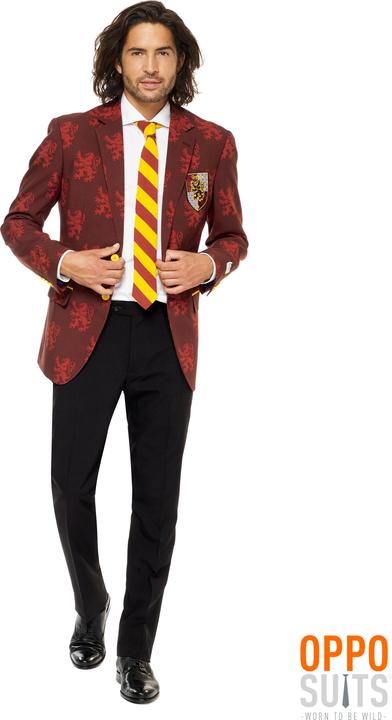 Immagine prodotto OppoSuits Harry Potter (52)