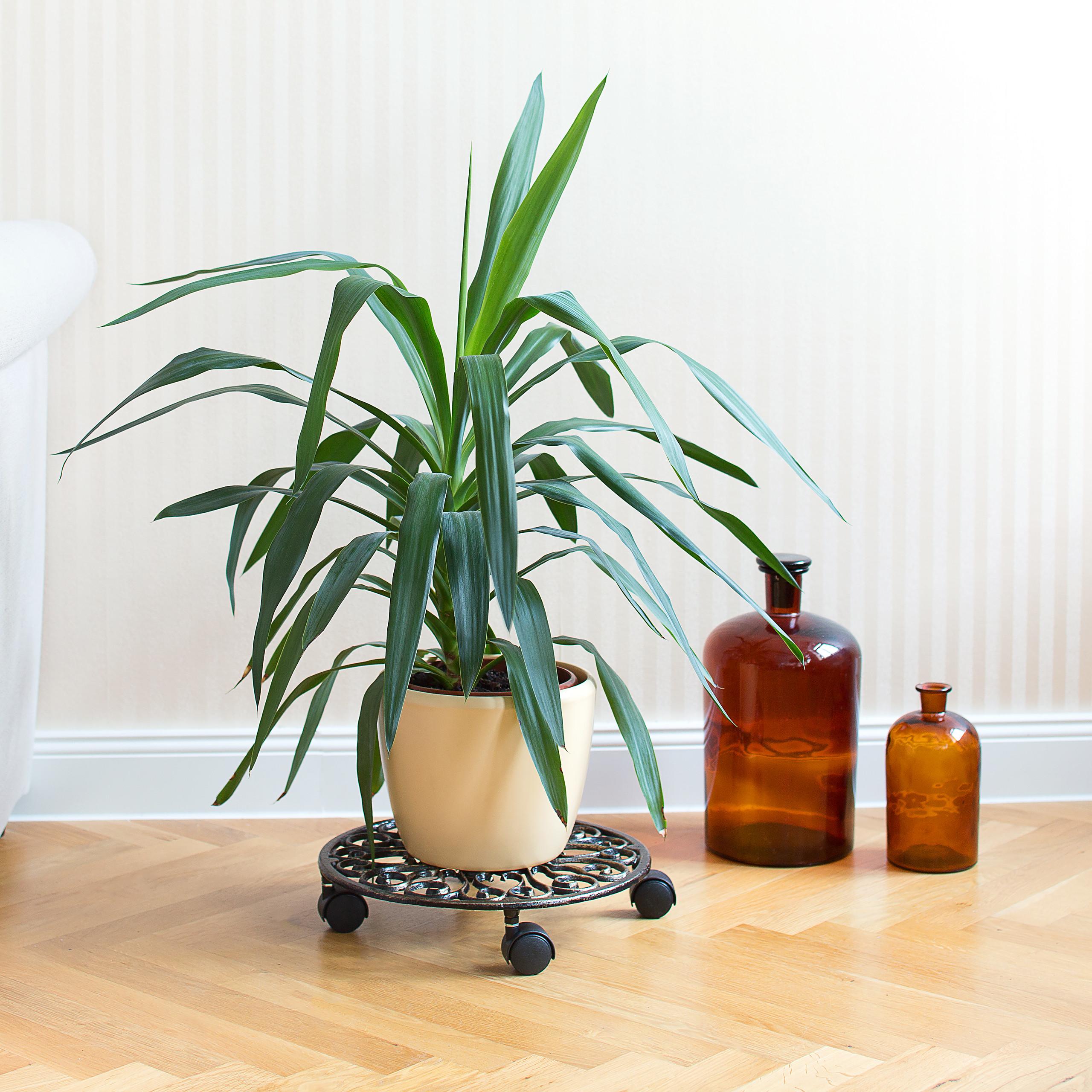 Thumbnail - Relaxdays, Pflanzenständer + Blumentreppe, Pflanzenroller