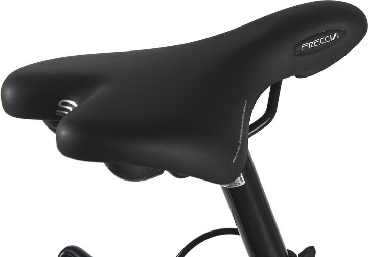 Produktbild Damenrad 28" Padova 7 Gänge RH 48 cm (48 cm)