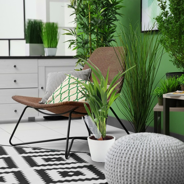 Actual product image Relaxdays 6x clay cone (Clay cone irrigation)