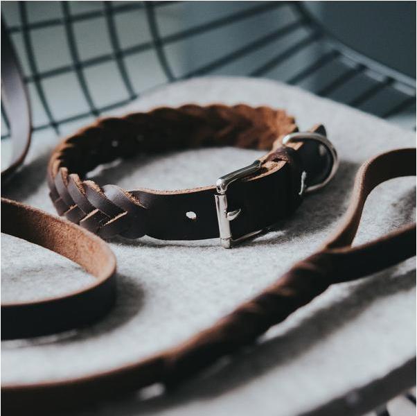Produktbild Hunter Halsband Solid Education Special (33, 34, 35, 36, 37, 38, Hund)