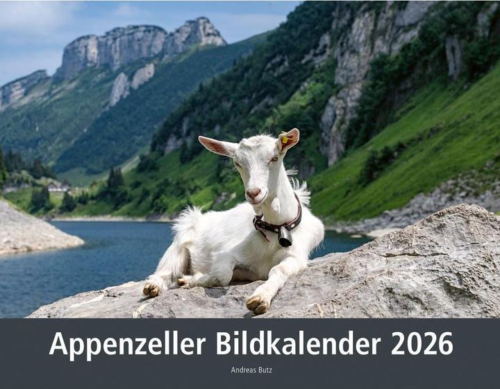 APPENZELL Bildkalender 2026 858829047 DE 40x31cm (40 x 31 cm, Copertina rigida, Tedesco)