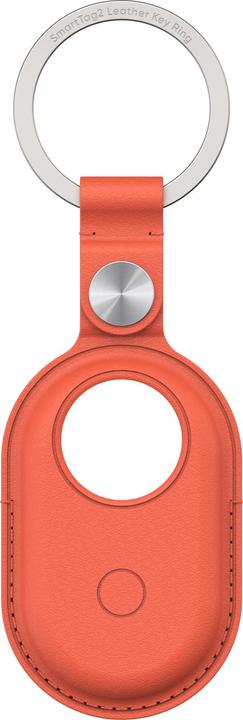 Actual product image Samsung Braloba Key Ring Case