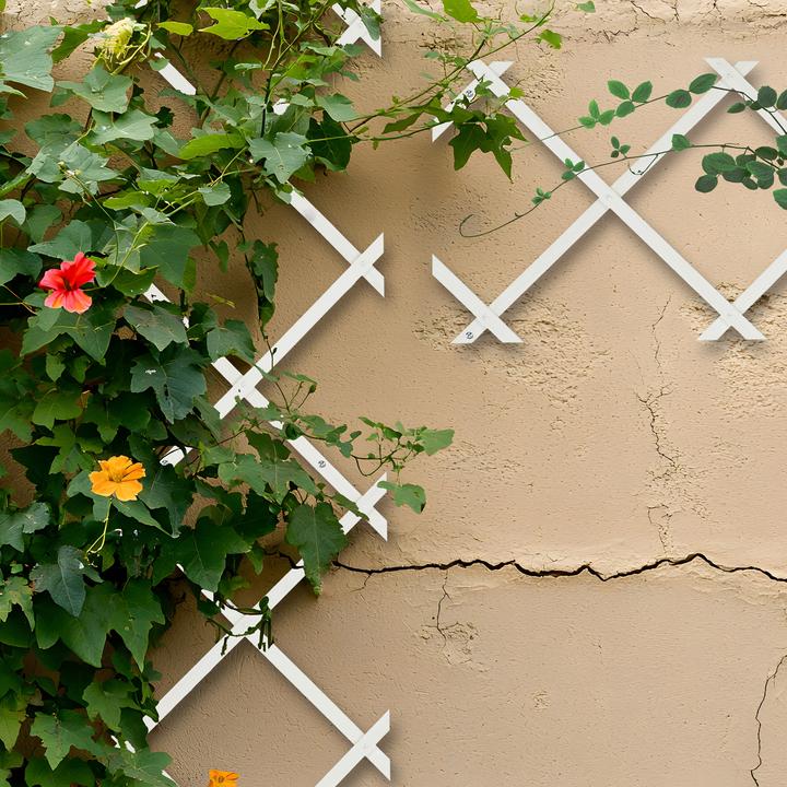 Image du produit Relaxdays 3x tuteurs-à-tomates (1 cm, 30 cm)