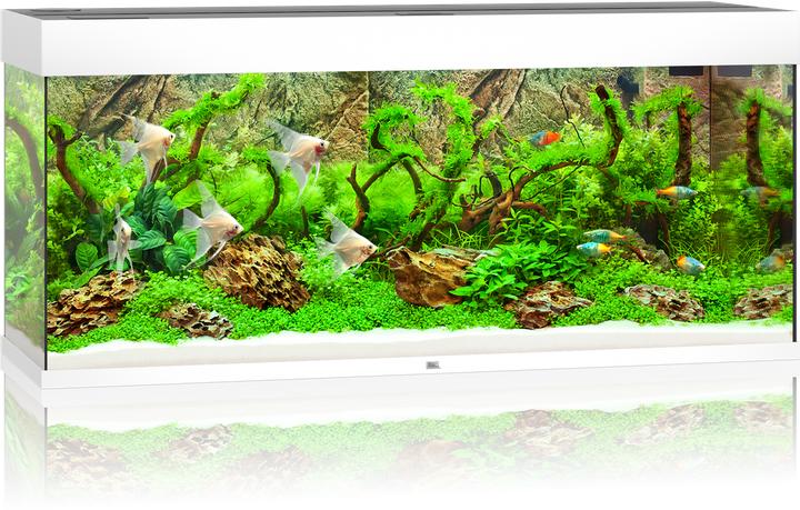 Actual product image Juwel Aquarium Rio LED (240 l)