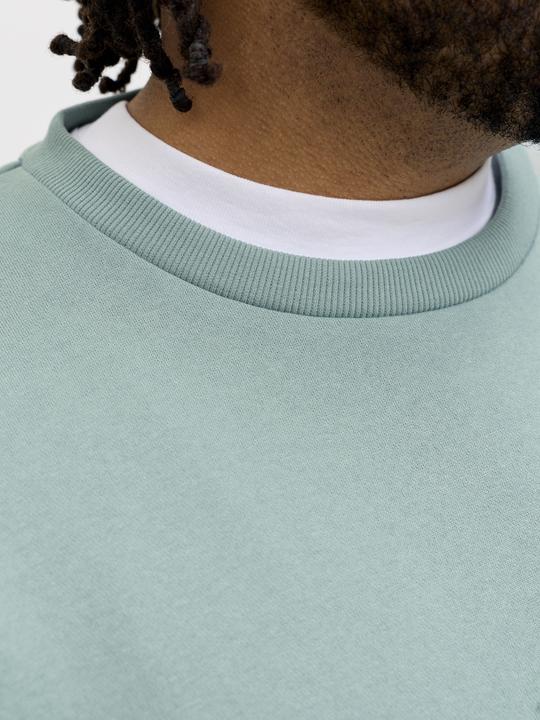 Produktbild Jack & Jones Jjebradley Sweat Crew Noos Pls