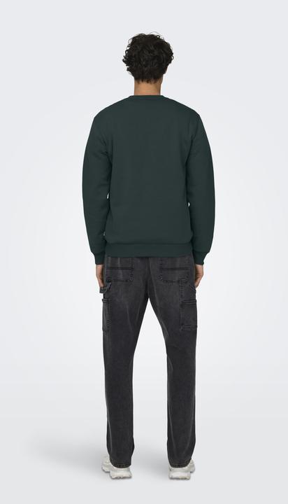 Actual product image Only & Sons Onsceres Crew Neck Noos (M)