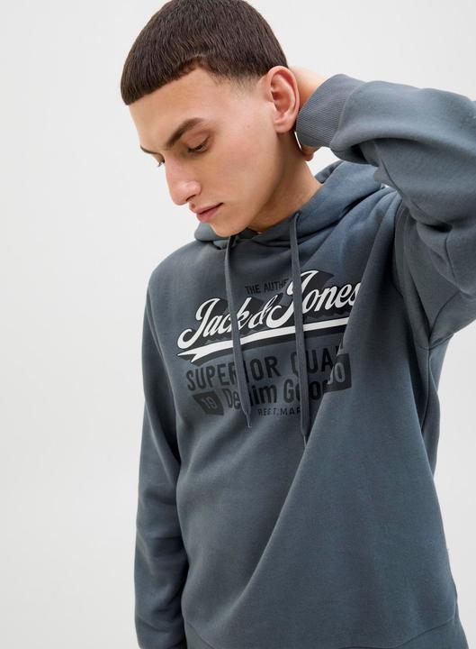 Actual product image Jack & Jones JJELOGO SWEAT HOOD 2 COL 25/26 NOOS (XXL)