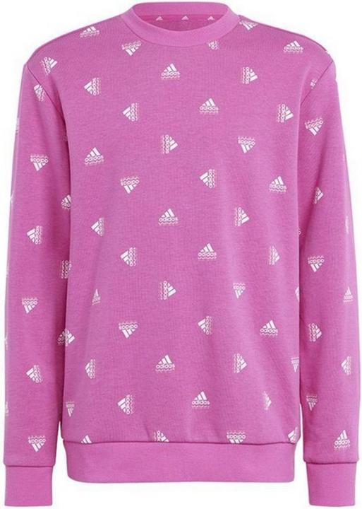 Produktbild Adidas Bluv Sweatshirt (152)