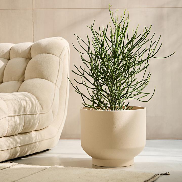 Produktbild AM.PM Florian (37 x 33 cm)