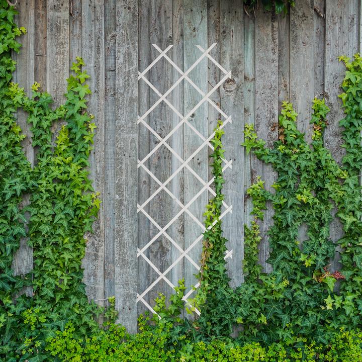 Produktbild Relaxdays 3x Rankgitter (1 cm, 60 cm)