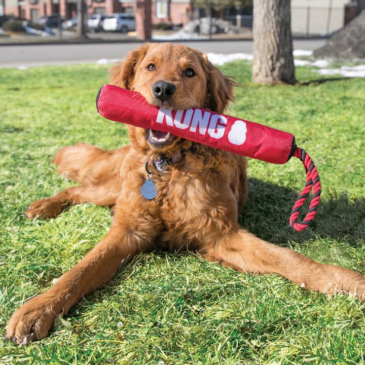 Immagine prodotto KONG Corda a bastone firmata (Gioco da masticare per cani)