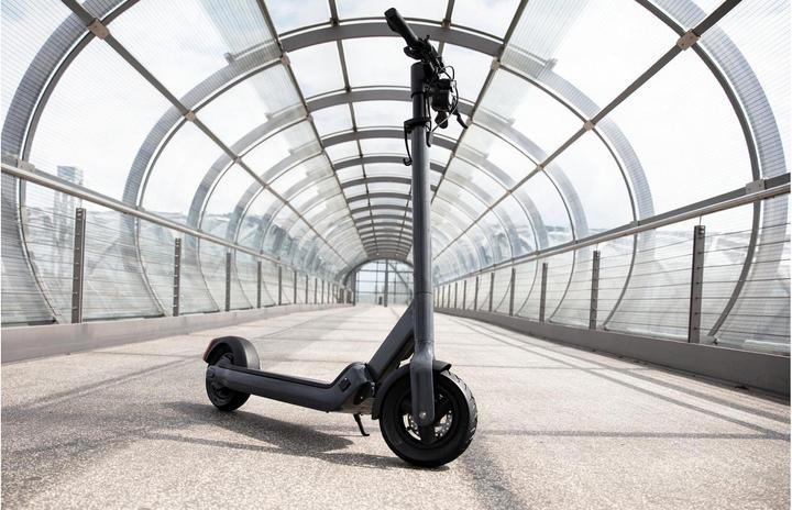 Image du produit Egret Pro (20 km/h, 80 km, 500 W)
