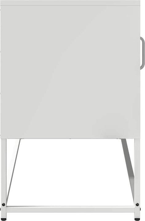 Image du produit vidaXL TV-Schrank (100.50 x 39 x 60.50 cm)
