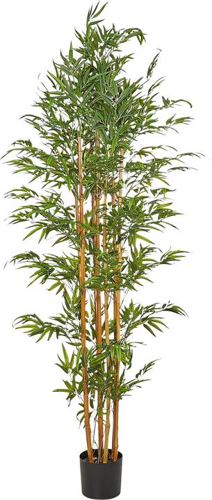 Immagine prodotto Beliani Bamboo (220 cm)