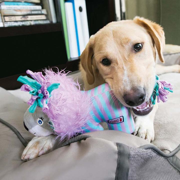 Produktbild KONG Knots Carnivallion S/M 18 X 9 X 15 cm (Plüschspielzeug Hund)