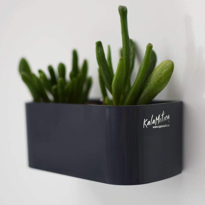 Image du produit Kalamitica Au travers de