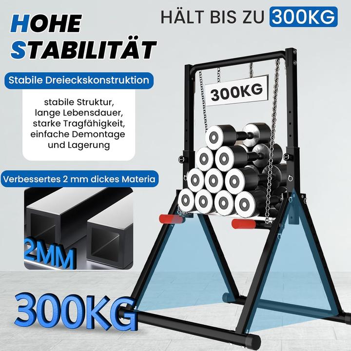 Actual product image Dobests Faltbare Power Tower Dip Station