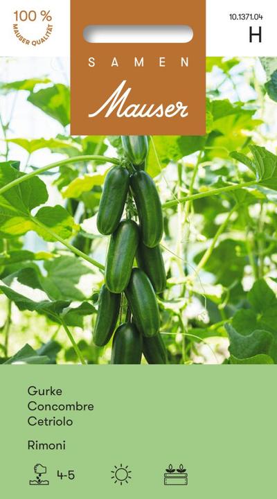 Produktbild Samen Mauser Mini-Gurke Rimoni (Gemüsesamen)