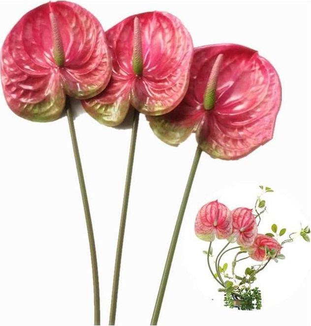 Image du produit RhinoShield Coque Solidx Magsafe Pour Apple Iphone 17 Air - Bleu Glacier - (Tm) (Apple iPhone Air)