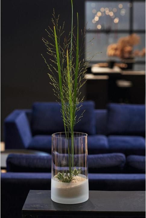 Immagine prodotto Leonardo Vaso Novara 26 cm 2 pezzi, Trasparente (2x, 5.10 l)