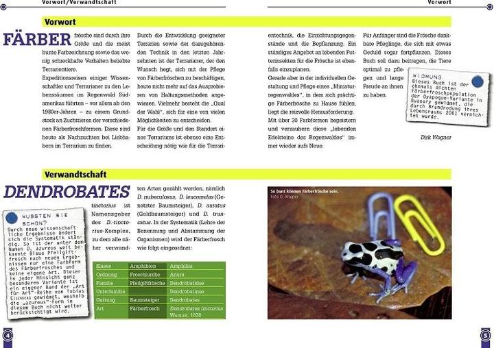 Produktbild Der Färberfrosch (Deutsch, Dirk Wagner, 2008)