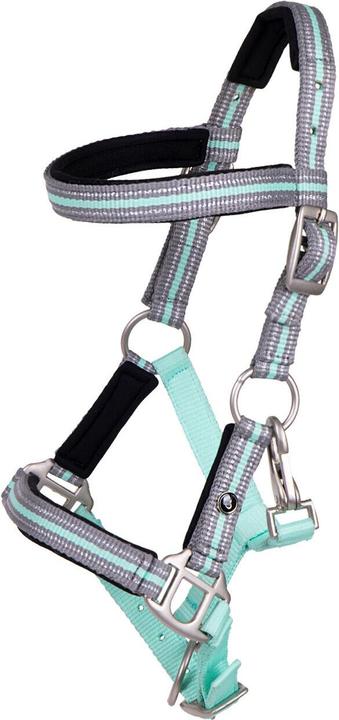 Qhp Cavezza per puledro con fascia per le sopracciglia