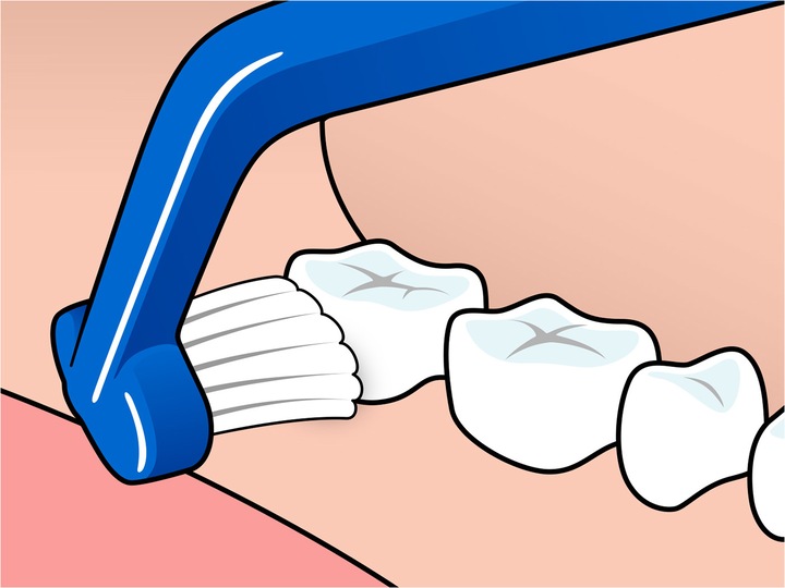 Actual product image TePe Universal Care Brush (1 x)