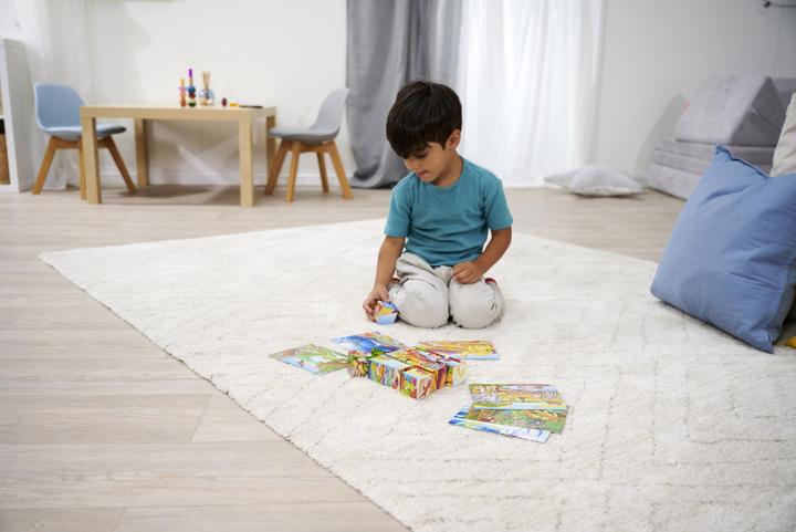 Image du produit Eichhorn Cube à images (12 pièces)