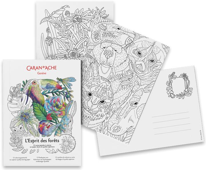 Produktbild Caran d'Ache Esprit des Forets Postkarten (12 Stk.)