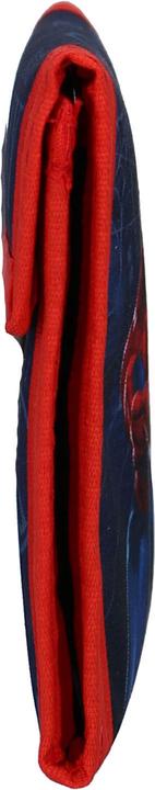 Actual product image Vadobag Wallet Spider-Man Bring it on