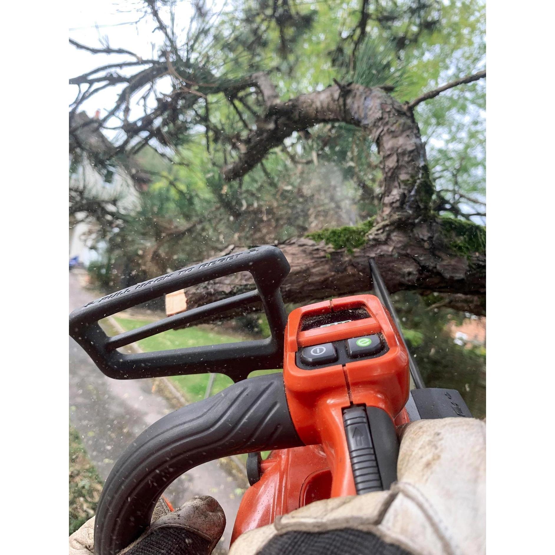 Thumbnail - Husqvarna, Kettensäge, T540iXP (Akku Kettensäge)