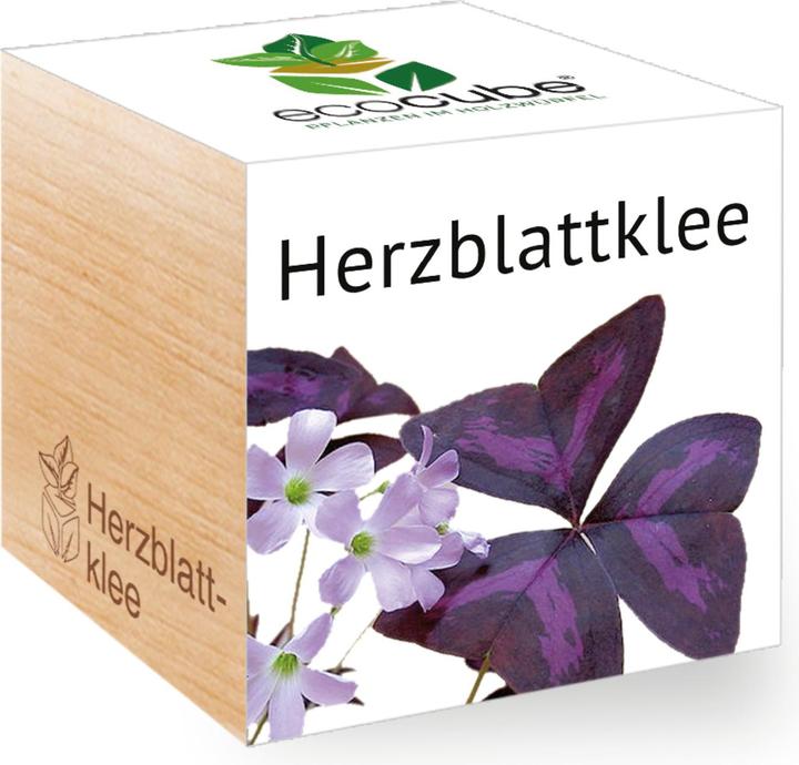 Produktbild Feel Green Herzblattklee (Pflanzensamen)