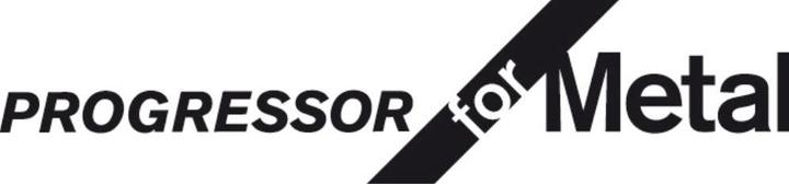 Image du produit Bosch Professional Zubehör Lame de scie sabre S 123 XF, Progressor for Metal, pack de 2