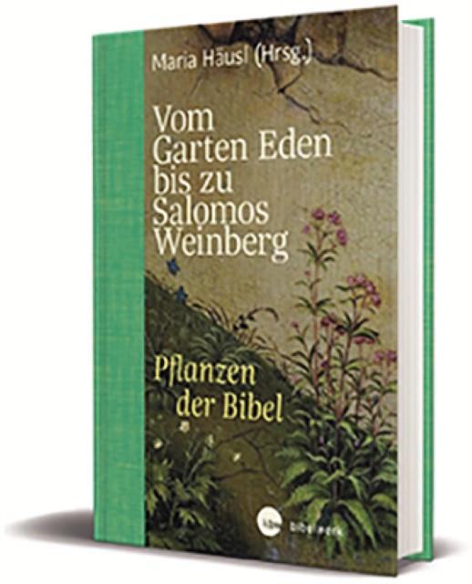 Produktbild Vom Garten Eden bis zu Salomos Weinberg (Deutsch, Maria Häusl, 2018)