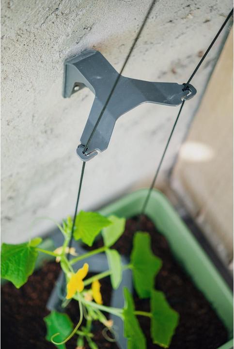 Image du produit Gusta Garden CURT CUCUMBER Gurkentopf Grau (28.70 cm, 33.50 cm)