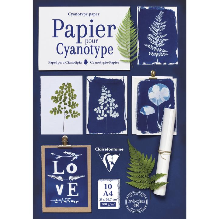 Immagine prodotto Clairefontaine Packung mit 10 Blatt Cyanotypie-Papier im Format A4 (21x29,7cm) - Weiss (10x)