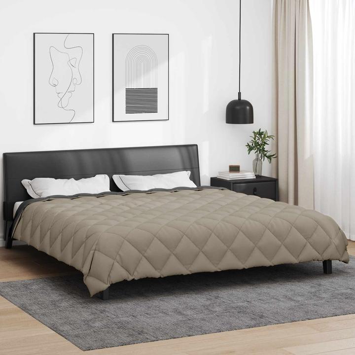 Image du produit vidaXL Winterbettdecke (200 x 200 cm)
