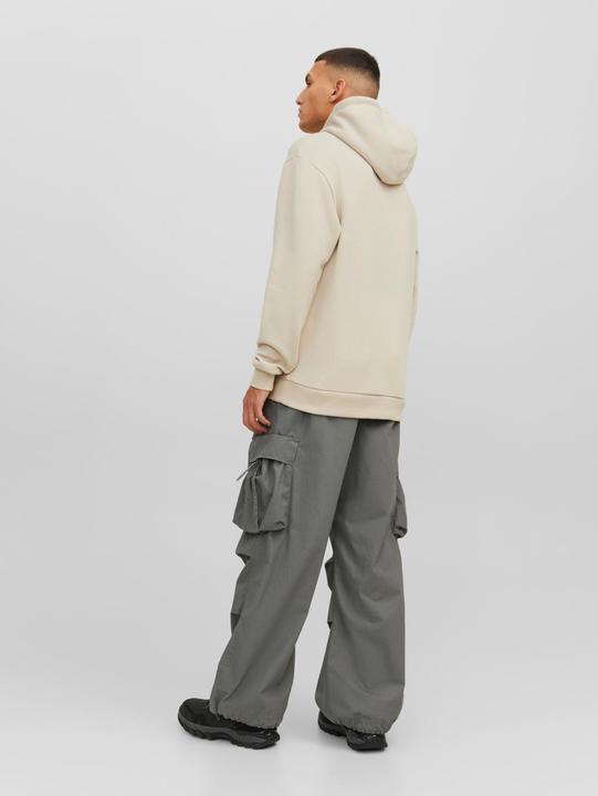 Image du produit Jack & Jones Sweat à capuche (M)