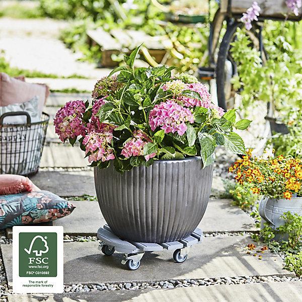 Image du produit Wagner System Multi Roller Creo ø38cm