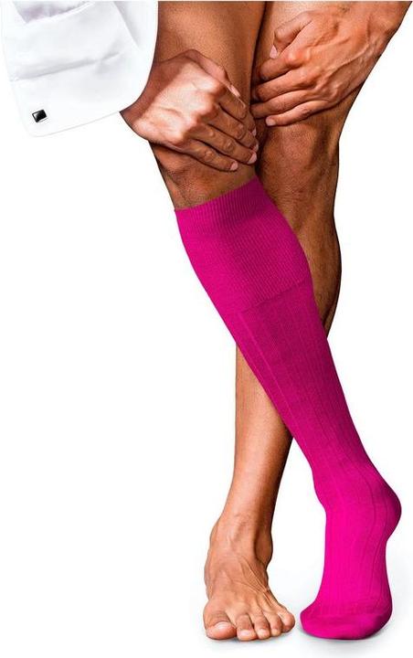 Produktbild Falke No. 2 KH