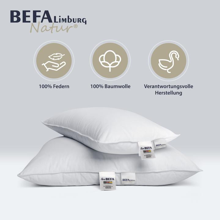 Produktbild BEFA Limburg Natur Federkissen, 100% Federn (60 x 80 cm)