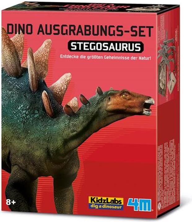 Actual product image 4M Dig a Stegosaurus Skeleton