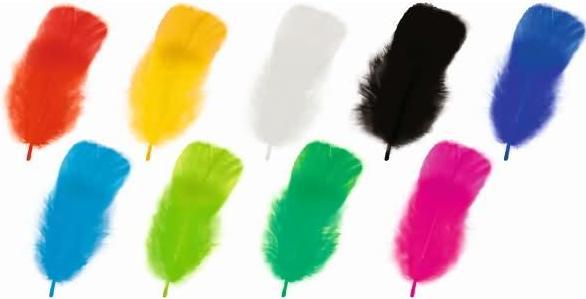 Actual product image Ursus Feathers 100g, Multicoloured