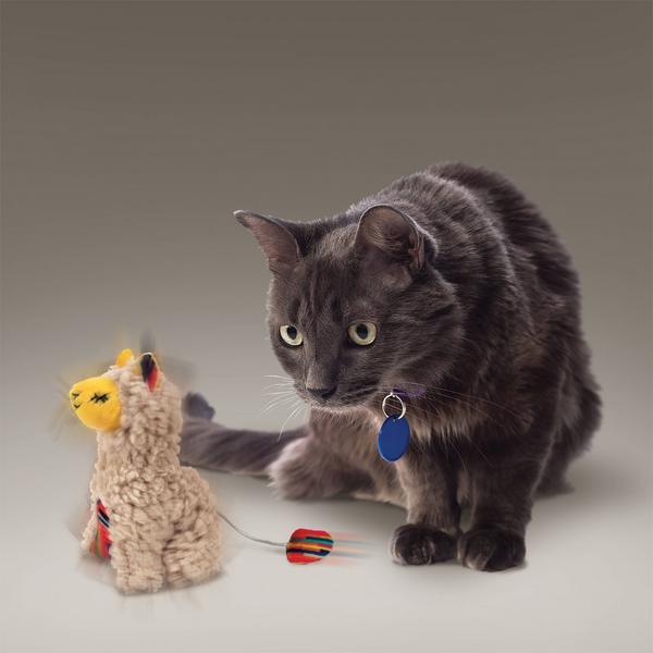 Immagine prodotto KONG Buzzy Llama (Catmint giocattolo)