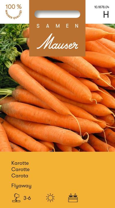 Immagine prodotto Samen Mauser Carota Flyaway (Semi di verdura)