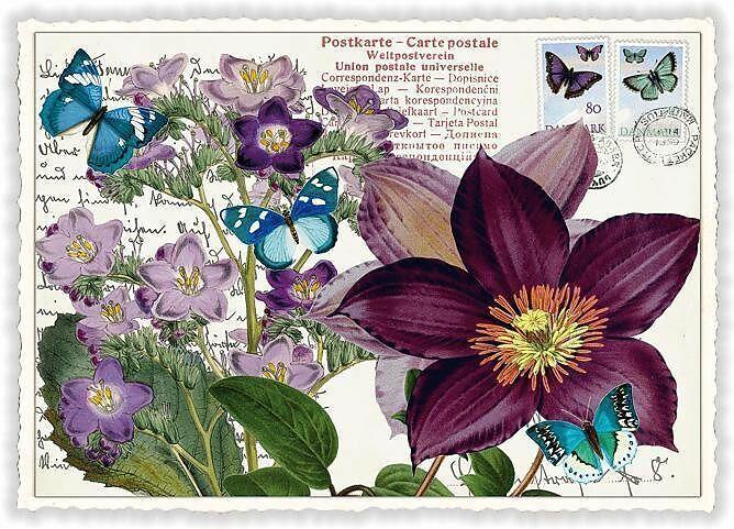 Produktbild Edition Tausendschön Postkarte / Blumen / blanko